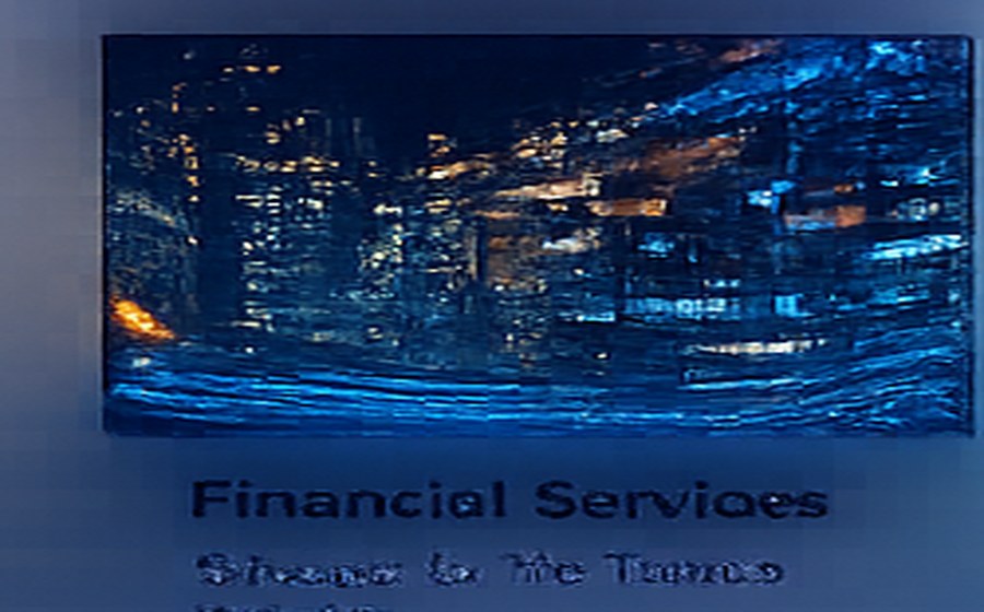 Financial & Professional Services